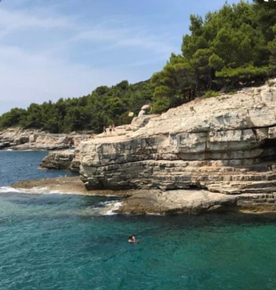 Enna 3 Perfect Location Medolino
