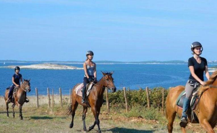 Enna 3 Perfect Location Appartement